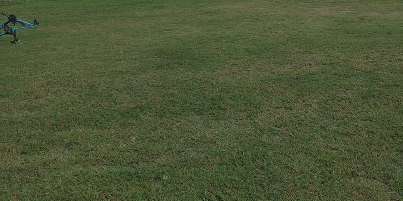 Camper submitted image from Guardian Farm Camping