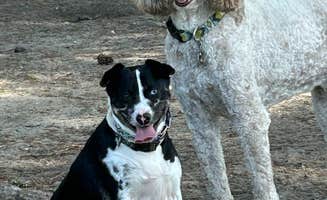 Maya C.'s photo of camping with pets at Brunswick Beaches RV Resort near North Myrtle Beach, SC