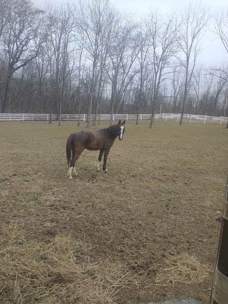 Camping near Misfit Farmz Campground: Rest & Ride Ranch - Temporarily closed, Eidson, Tennessee