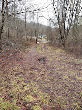 Camper-submitted photo at Rest & Ride Ranch - Temporarily closed near Shawanee, TN