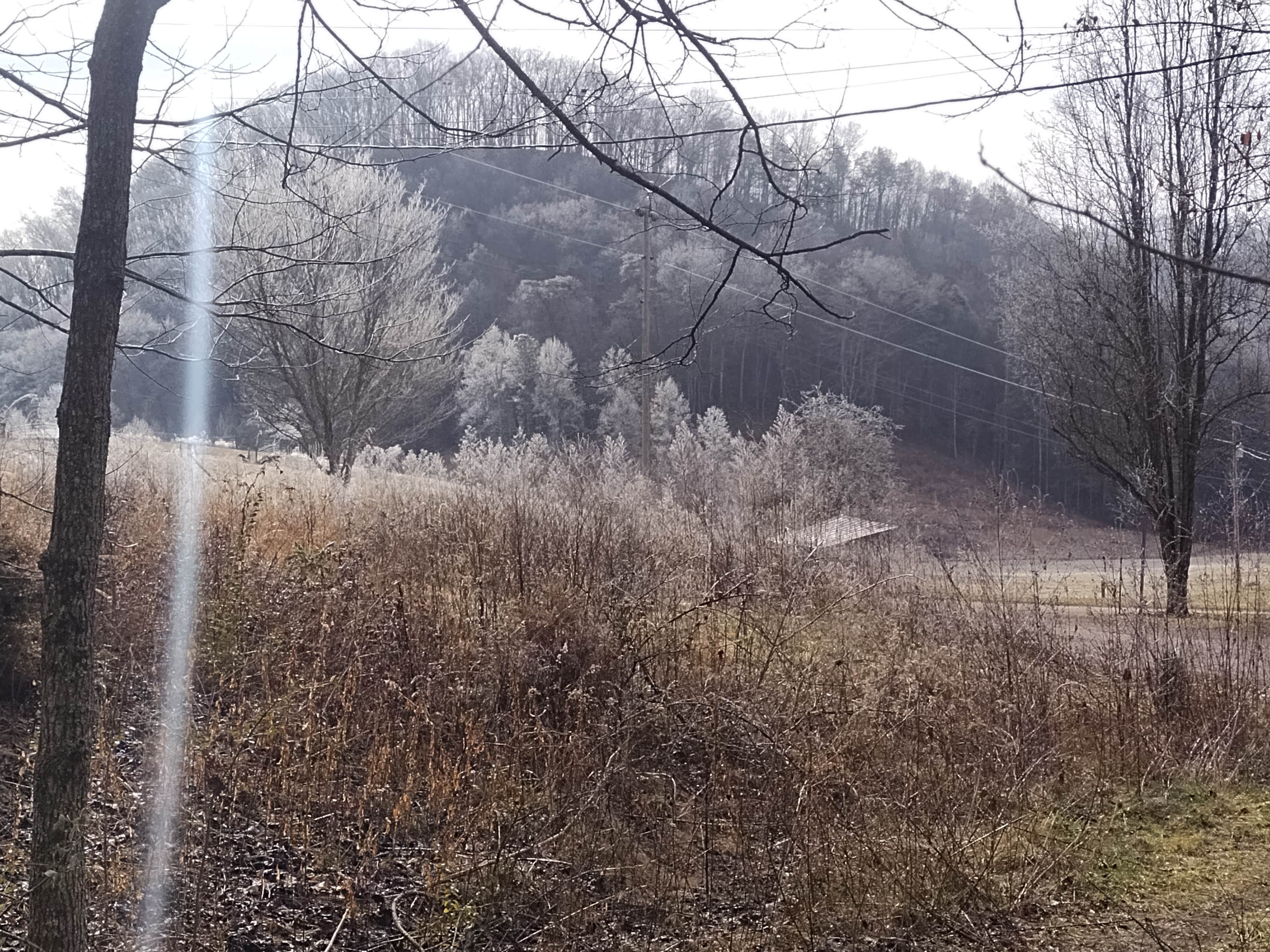 Camper-submitted photo at Rest & Ride Ranch - Temporarily closed near Shawanee, TN