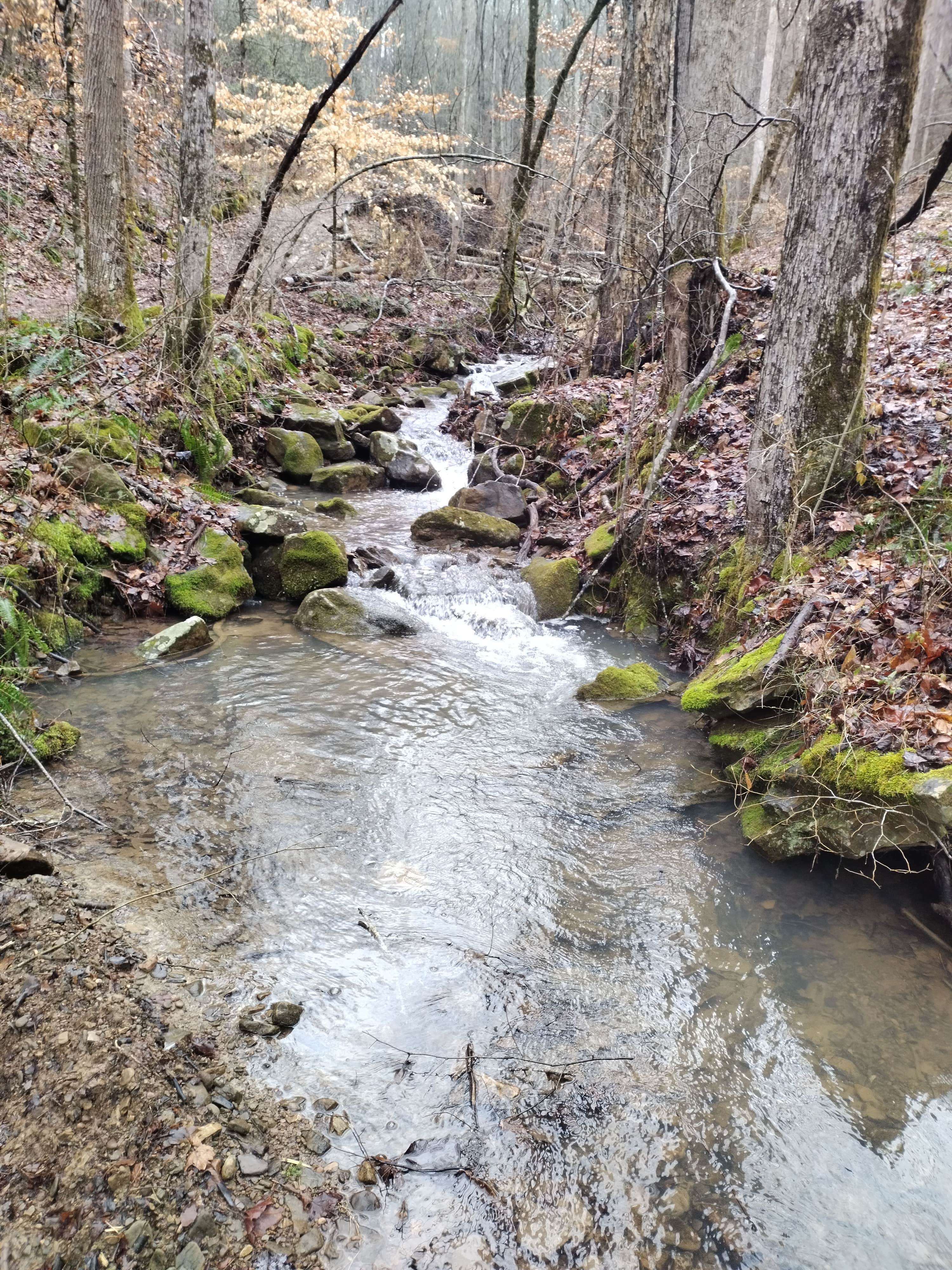 Camper-submitted photo at Rest & Ride Ranch - Temporarily closed near Shawanee, TN