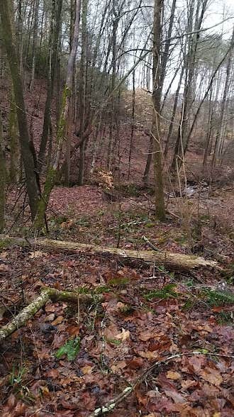 Camper-submitted photo at Rest & Ride Ranch - Temporarily closed near Shawanee, TN