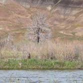 Review photo of BLM John Day River - Priest Hole by Mark W., May 1, 2024