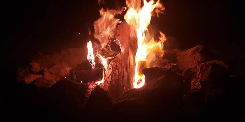 Camper submitted image from Froggys River Resort