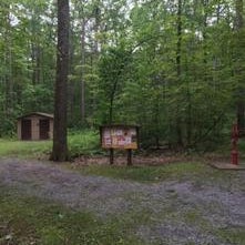 Public Campgrounds: Tracy Ridge