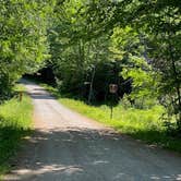 Review photo of White Mountains Camping on Little Larry Road by Rhonda H., May 1, 2024