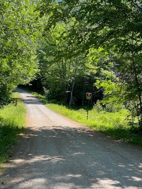 Camper submitted image from White Mountains Camping on Little Larry Road - 3