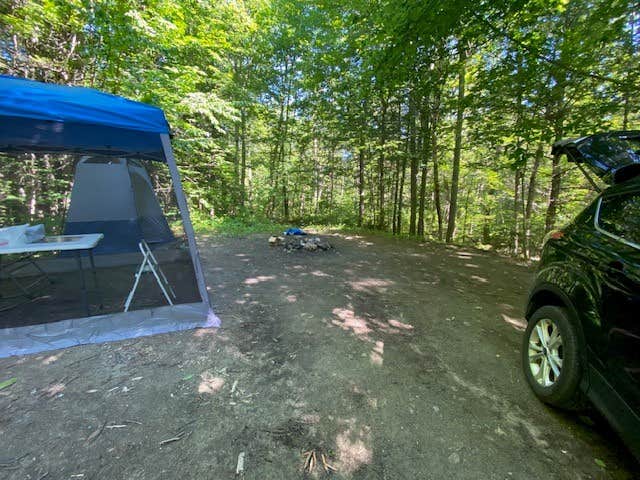 Rhonda H.'s photo of a dispersed camping area at White Mountains Camping on Little Larry Road near Peru, ME