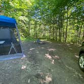 Review photo of White Mountains Camping on Little Larry Road by Rhonda H., May 1, 2024