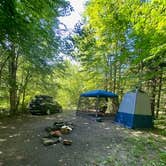 Review photo of White Mountains Camping on Little Larry Road by Rhonda H., May 1, 2024