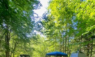 Camping near Hogan Road Pulloff near Appalachian Trail: White Mountains Camping on Little Larry Road, Gilead, Maine