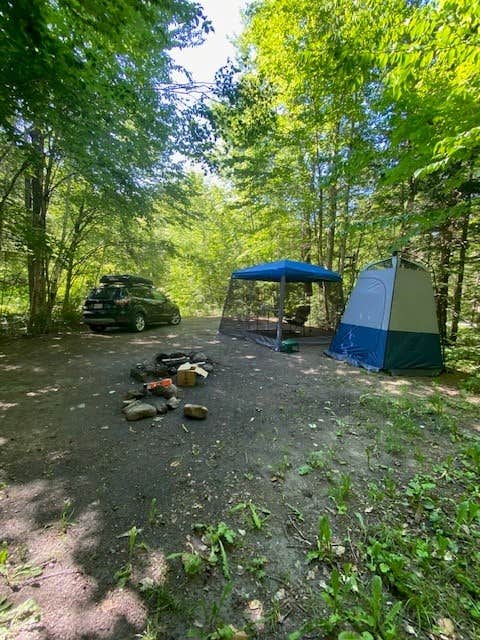 Camper submitted image from White Mountains Camping on Little Larry Road - 1