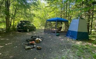 Rhonda H.'s photo of a dispersed camping area at White Mountains Camping on Little Larry Road near Freedom, NH