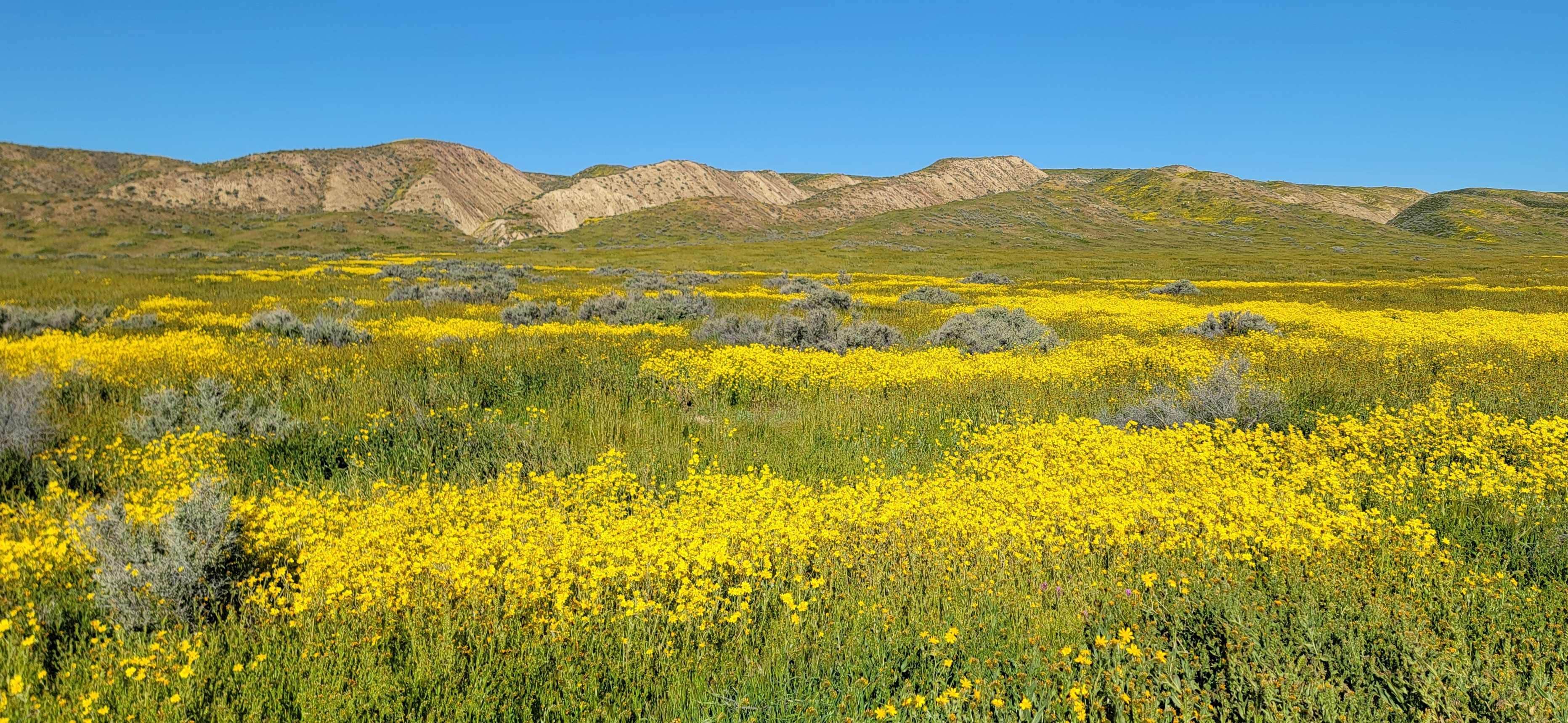 Camper-submitted photo at KCL Campground near New Cuyama, CA