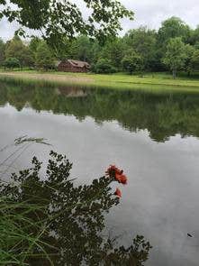 Camper-submitted photo at Twin Lakes Recreation Area - Allegheny National Forest near Marienville, PA