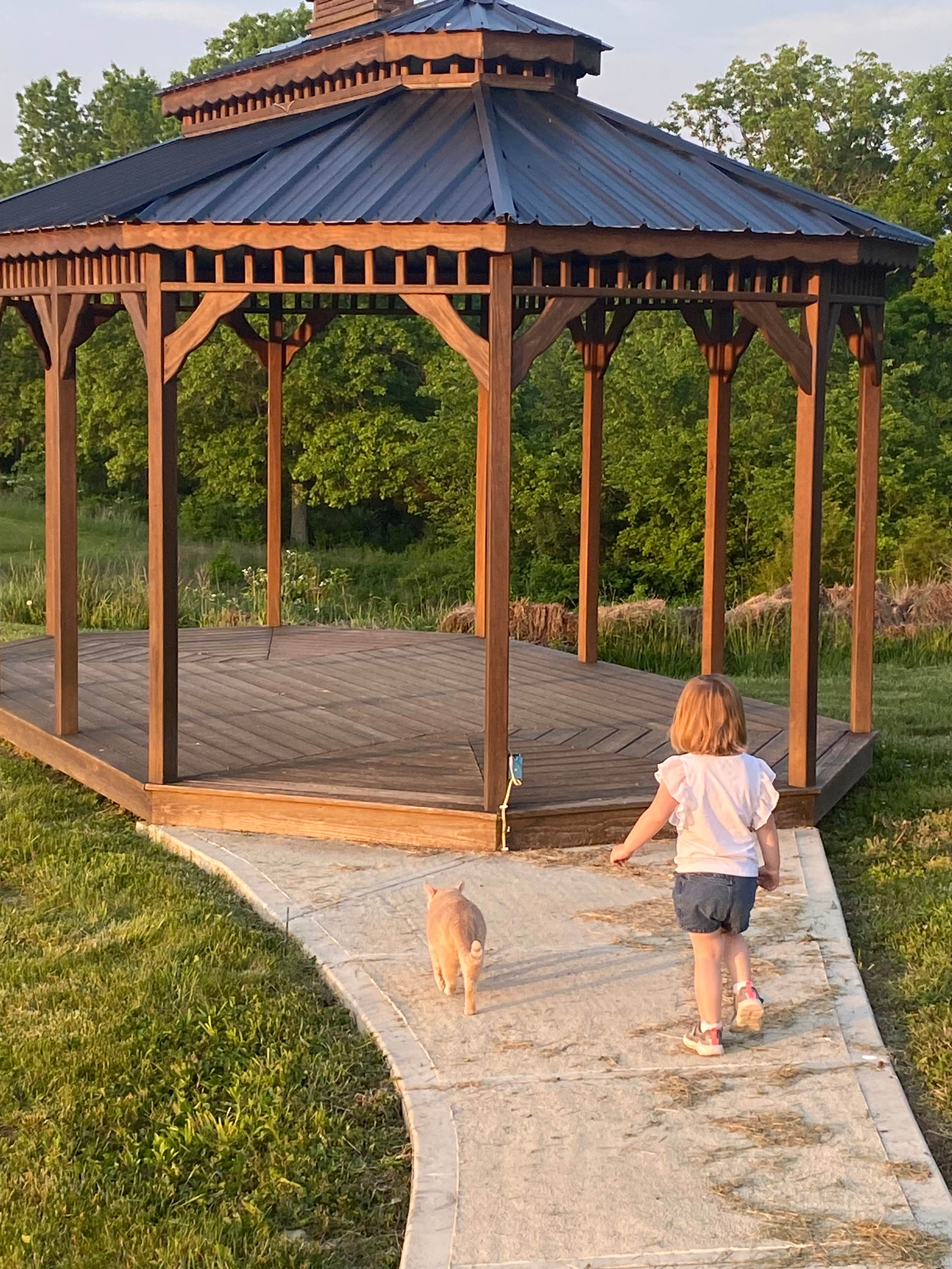 Kirk T.'s photo of camping with pets at . near Georgetown, KY