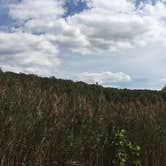 Review photo of St. Joe State Park Campground by iloveitontop R., September 13, 2016