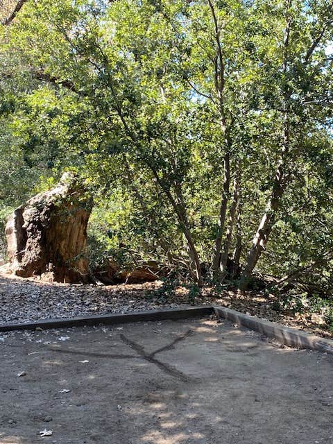 Camper-submitted photo at Palomar Mountain State Park Campground near Aguanga, CA