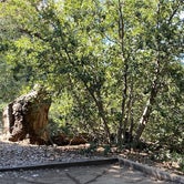 Review photo of Palomar Mountain State Park Campground by Paige F., May 2, 2024