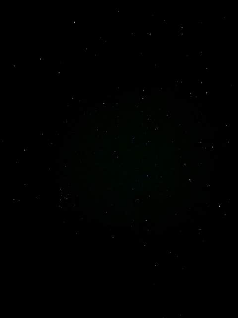 Camper-submitted photo at Palomar Mountain State Park Campground near Aguanga, CA