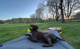 Tripp T.'s photo of camping with pets at IRON Peak Ranch near Sugar Grove, VA
