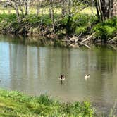 Review photo of IRON Peak Ranch by Tripp T., May 2, 2024