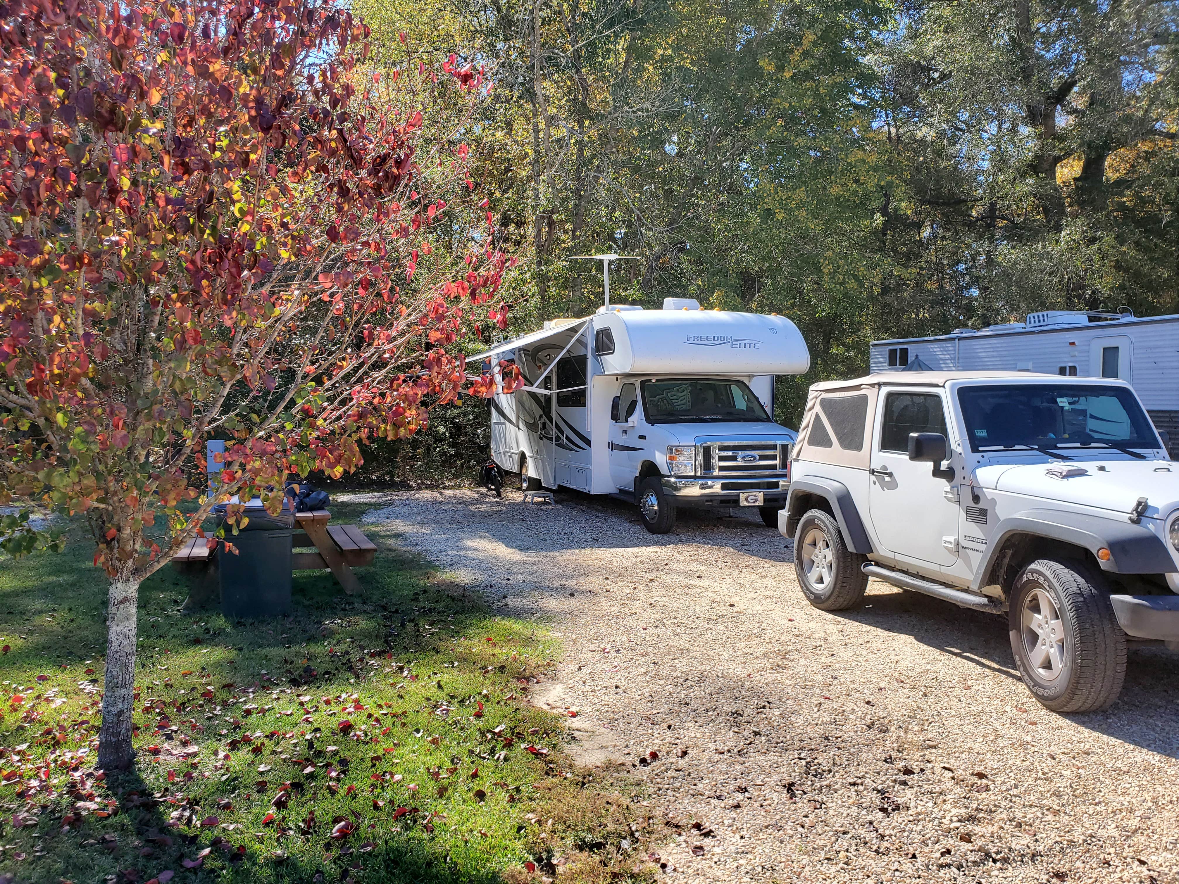 Mark D.'s photo of rv camping at Four Seasons RV Park near Raleigh, MS