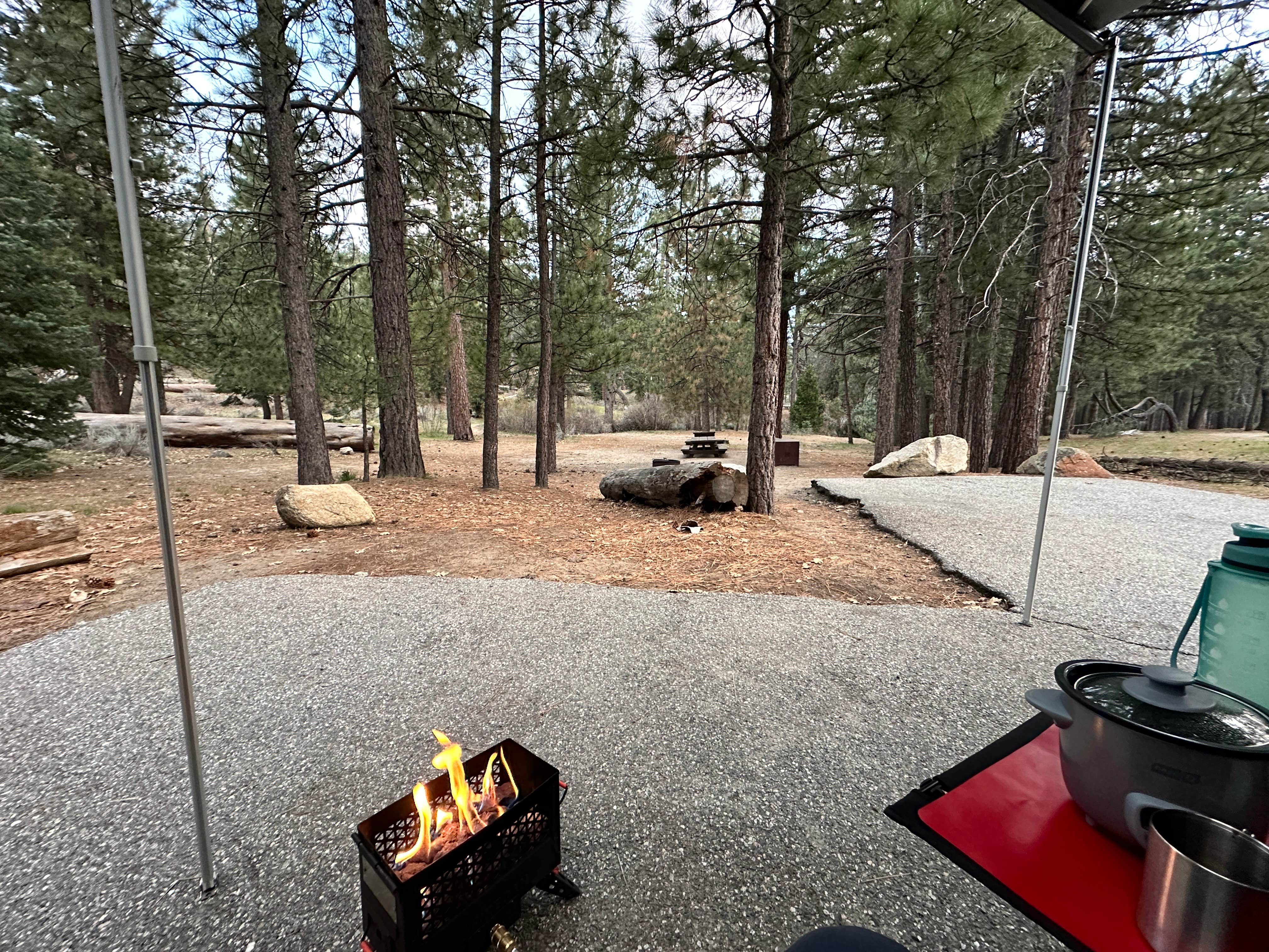 Mike G.'s photo at Barton Flats Family Campground near San Bernardino National Forest
