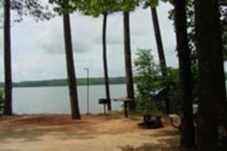 Camper submitted image from Hawe Creek - J Strom Thurmond Lake - 3