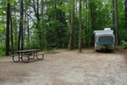 Camper submitted image from Hawe Creek - J Strom Thurmond Lake - 1