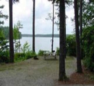 Camper-submitted photo from Hawe Creek - J Strom Thurmond Lake