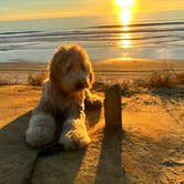 Review photo of South Carlsbad State Beach Campground by Mike G., May 2, 2024