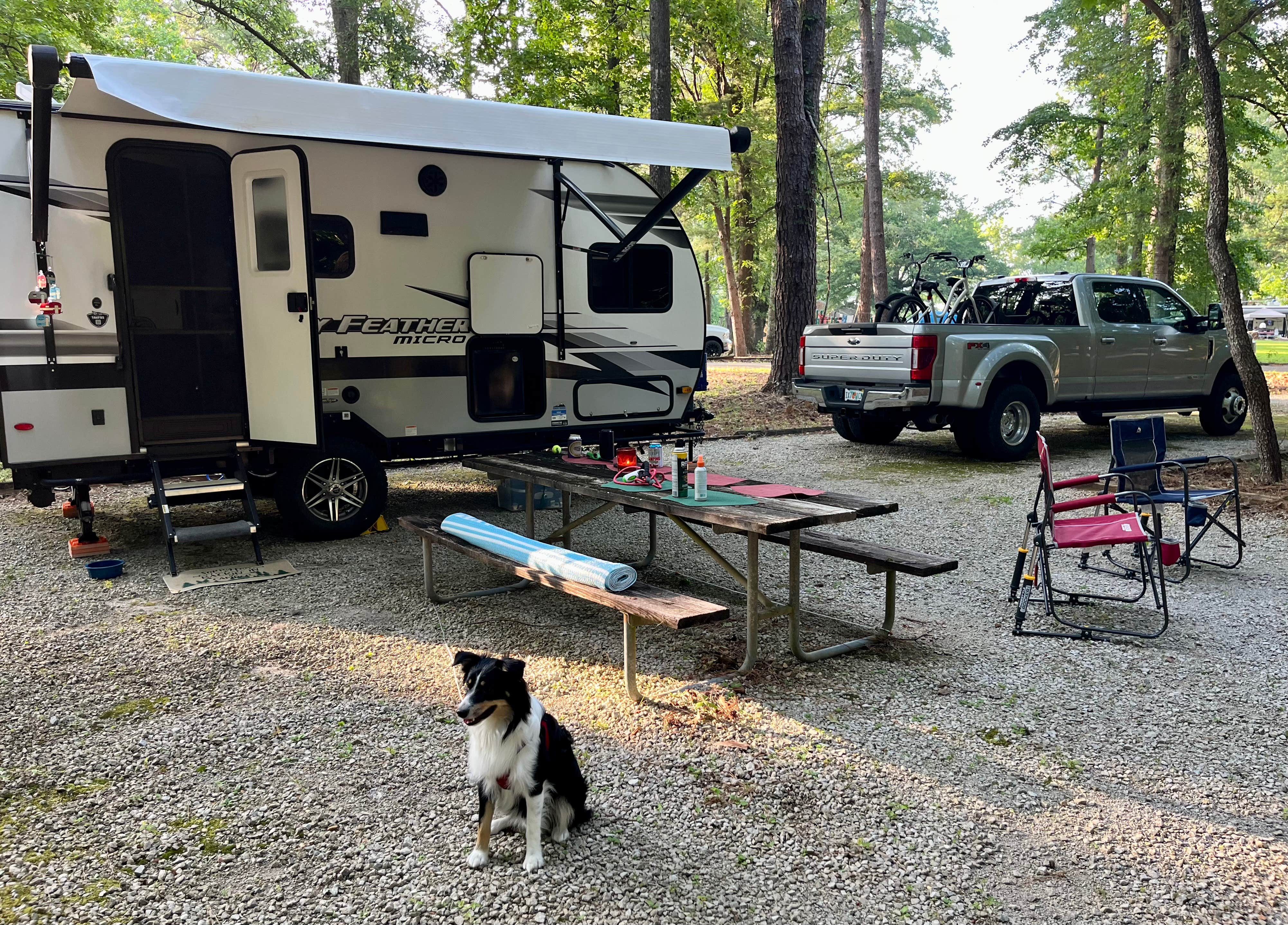 L&A C.'s photo of camping with pets at COE Alabama River Lakes Chilatchee Creek Campground near Marion, AL