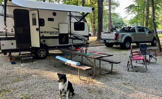 L&A C.'s photo of camping with pets at COE Alabama River Lakes Chilatchee Creek Campground near Selma, AL