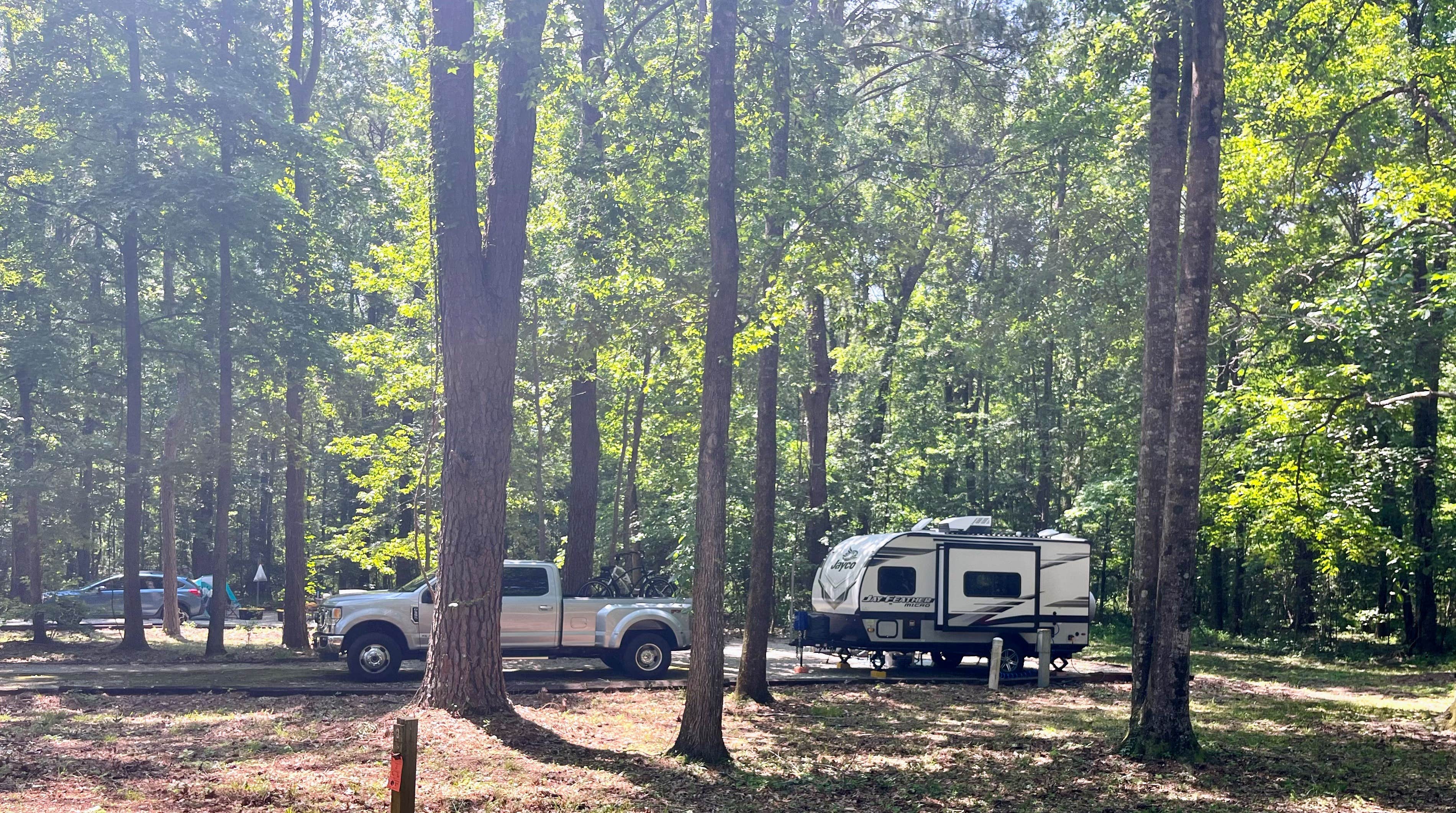 L&A C.'s photo at COE Alabama River Lakes Chilatchee Creek Campground near Camden, AL
