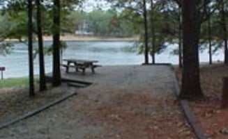 Camper-submitted photo from Twin Lakes at Lake Hartwell
