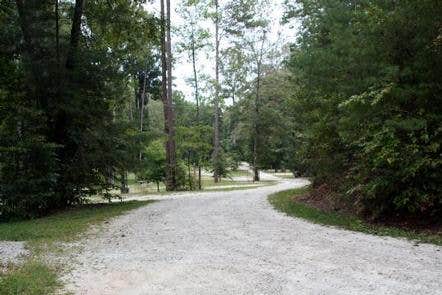 Willis knob shop horse camp