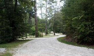 Camping near Randy’s Horse Camp: Whetstone Horse Camp, Long Creek, South Carolina