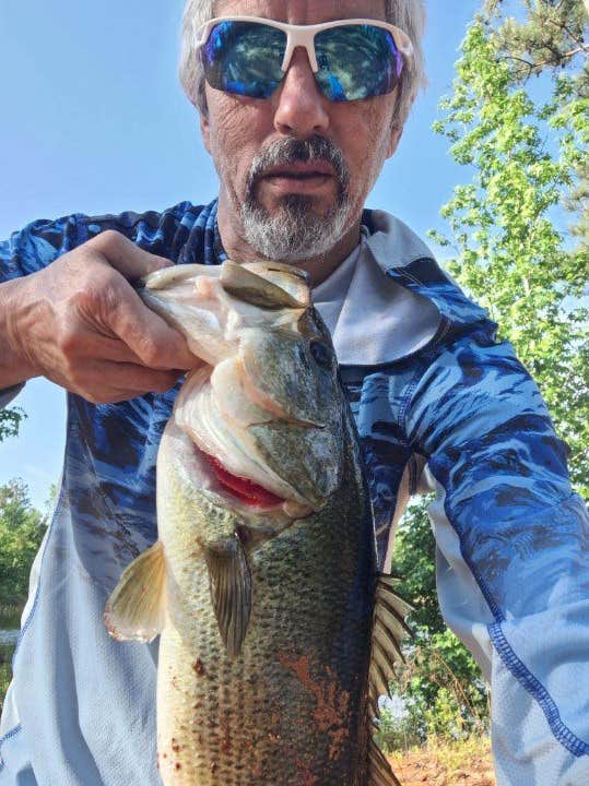 Camper-submitted photo at Hitchinpost RV Park and Campground near Westville, FL