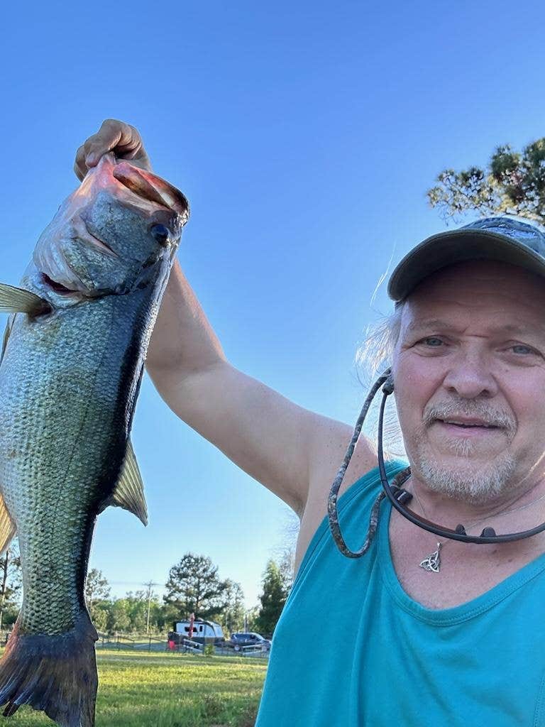 Camper-submitted photo at Hitchinpost RV Park and Campground near Westville, FL