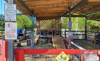 Fay's photo of camping with pets at Hitchinpost RV Park and Campground in Florida