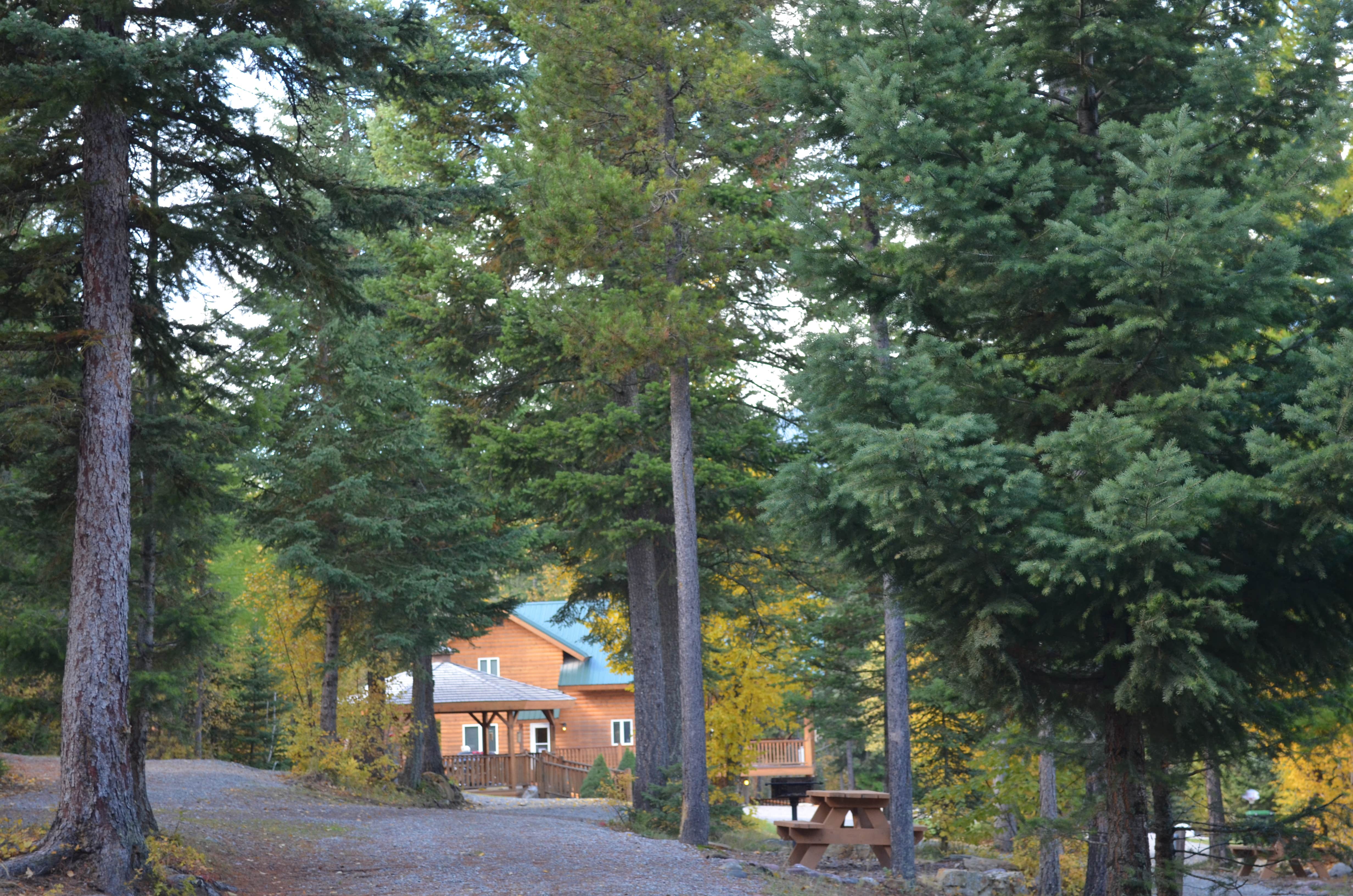 Camper submitted image from Timber Wolf Resort - 2