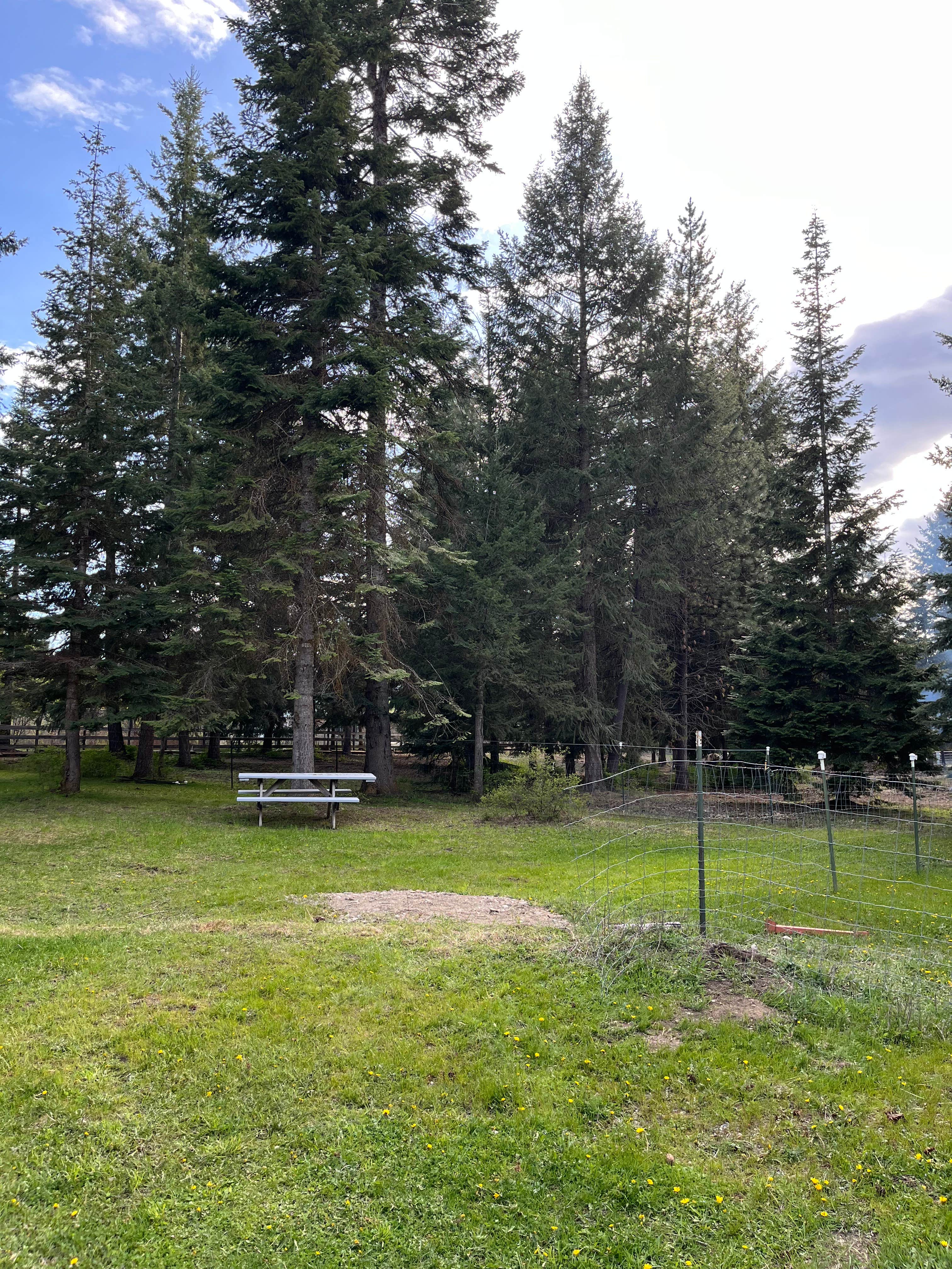 Camper submitted image from Son Mountain Ranch, Athol Idaho - 2