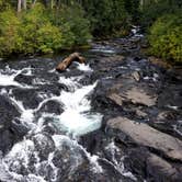 Review photo of Cougar Rock Campground — Mount Rainier National Park by iloveitontop R., September 6, 2016
