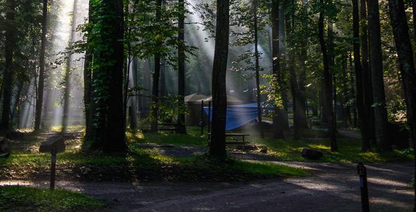 Camper submitted image from Abrams Creek Campground — Great Smoky Mountains National Park - 1