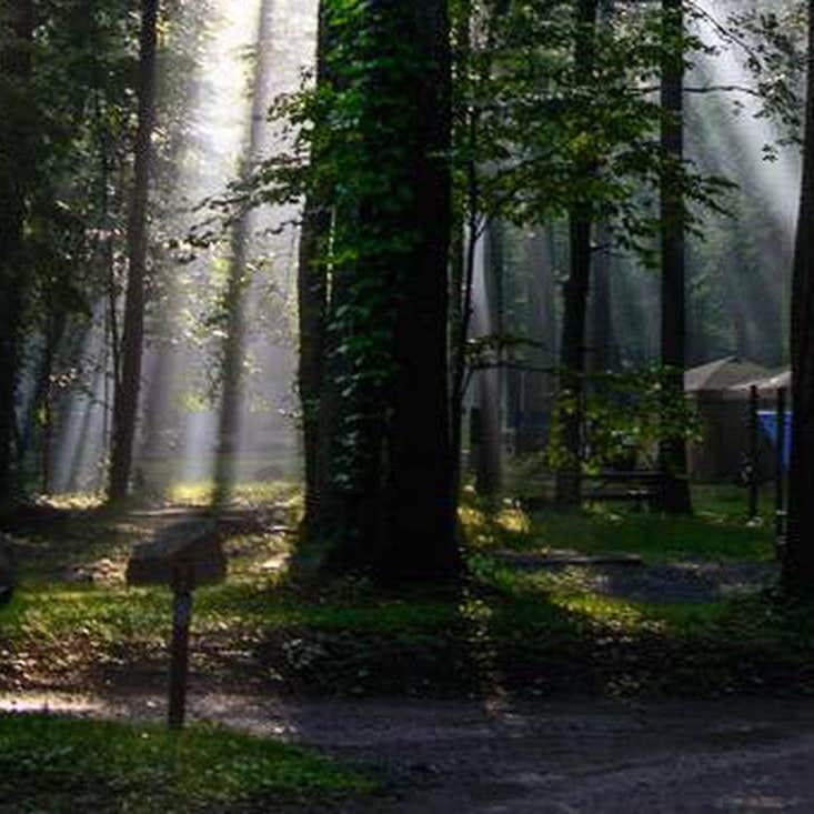 Abrams Creek Campground — Great Smoky Mountains National Park