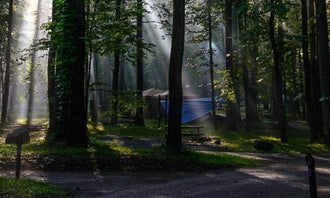Camping near Cramer's Creekside Cabins: Abrams Creek Campground — Great Smoky Mountains National Park, Tallassee, Tennessee