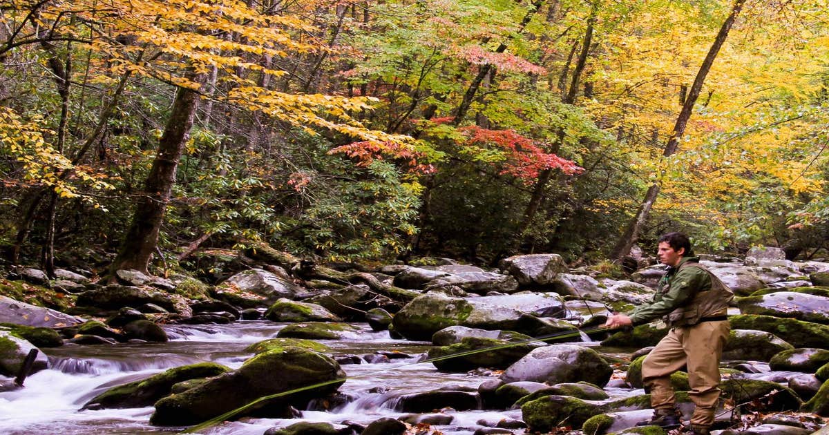 Abrams Creek Campground — Great Smoky Mountains National Park ...