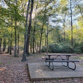 Review photo of Martin Creek Lake State Park Campground by Mark D., May 3, 2024